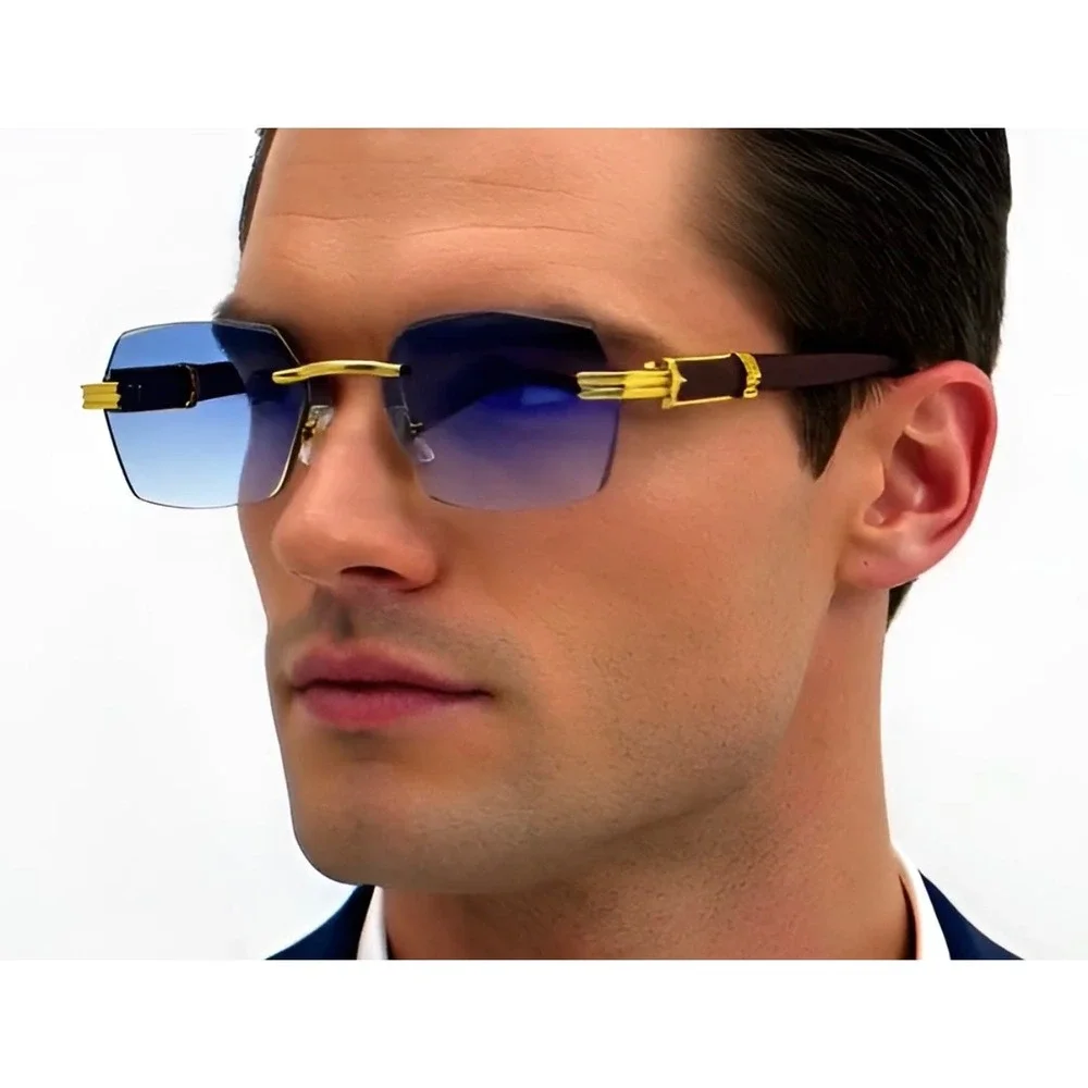 Premium Sunglasses‎ For Men 80's 90's Hip Hop Migos Classy Elegant Sophisticated